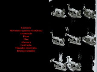 Exercício
Movimento (contra-resistência)
        Articulação
           Plano
            Eixo
         Alavanca
        Contração
    Músculos envolvidos
     Inserção (auxílio)
 