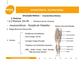 BIOMECÂNICA OCUPACIONAL

                   APLICAÇÃO PRÁTICA – Características Básicas
     2. Posturas
 • 2.2 Postura Em Pé:        - Tolerância do Ser Humano

- Inconveniência - Posição de Trabalho:
 Fadiga Músculos Panturrilha

                    - Tendências Hereditárias
                    - Ficar Parado De Pé
 Varizes           - Carregar Cargas Pesadas

                    - Trabalhar em Ambientes Quentes

                     - OBS: Andar muito – Subir Escadas
                          “Não Acarreta Varizes”


     Luiz Antonio Bertagna
 