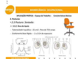 BIOMECÂNICA OCUPACIONAL

       APLICAÇÃO PRÁTICA – Espaço de Trabalho - Características Básicas
2. Posturas
• 2.3 Postura Sentada:
 2.3.2 Área de Apoio
- Tuberosidade Isquiática – 25 cm2 - Peso de 75% corpo
- Estofamento Base Rígida – 2 a 3 Cm de espessura




 Luiz Antonio Bertagna
 