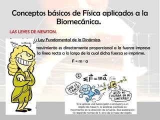 Conceptos básicos de Física aplicados a la
Biomecánica.
LAS LEYES DE NEWTON.
Segunda Ley o Ley Fundamental de la Dinámica.
El cambio de movimiento es directamente proporcional a la fuerza impresa
y ocurre en la línea recta a lo largo de la cual dicha fuerza se imprime.
F = m · a
 