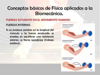 Conceptos básicos de Física aplicados a la
Biomecánica.
FUERZAS ACTUANTES EN EL MOVIMIENTO HUMANO.
FUERZAS INTERNAS.
Si no produce cambios en la longitud del
músculo y la fuerza producida se
emplea en equilibrar una resistencia
exterior, se llama isométrica (trabajo
estático).
 