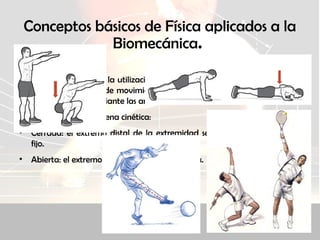 Conceptos básicos de Física aplicados a la
Biomecánica.
CADENAS CINÉTICAS.
Una cadena cinética es la utilización coordinada de diferentes palancas con
un objetivo común de movimiento. Los huesos serían los eslabones de la
cadena, unidas mediante las articulaciones.
Existen dos tipos de cadena cinética:
• Cerrada: el extremo distal de la extremidad se encuentra en un punto
fijo.
• Abierta: el extremo distal es libre y se desplaza.
 