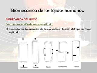 Biomecánica de los tejidos humanos.
BIOMECÁNICA DEL HUESO.
Fracturas en función de la carga aplicada.
El comportamiento mecánico del hueso varía en función del tipo de carga
aplicada.
 