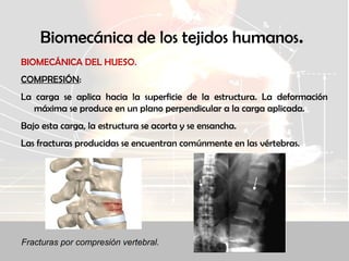 Biomecánica de los tejidos humanos.
BIOMECÁNICA DEL HUESO.
COMPRESIÓN:
La carga se aplica hacia la superficie de la estructura. La deformación
máxima se produce en un plano perpendicular a la carga aplicada.
Bajo esta carga, la estructura se acorta y se ensancha.
Las fracturas producidas se encuentran comúnmente en las vértebras.
Fracturas por compresión vertebral.
 