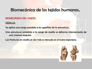 Biomecánica de los tejidos humanos.
BIOMECÁNICA DEL HUESO.
CIZALLA:
Se aplica una carga paralela a la superficie de la estructura.
Una estructura sometida a la carga de cizalla se deforma internamente de
una manera angular.
Las fracturas en cizalla se ven más a menudo en el hueso esponjoso.
 