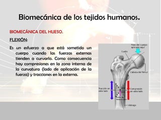 Biomecánica de los tejidos humanos.
BIOMECÁNICA DEL HUESO.
FLEXIÓN:
Es un esfuerzo a que está sometido un
cuerpo cuando las fuerzas externas
tienden a curvarlo. Como consecuencia
hay compresiones en la zona interna de
la curvatura (lado de aplicación de la
fuerza) y tracciones en la externa.
 