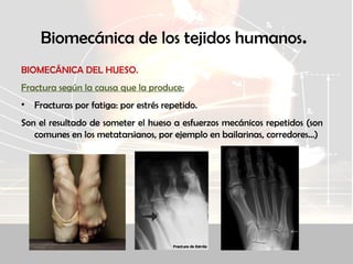 Biomecánica de los tejidos humanos.
BIOMECÁNICA DEL HUESO.
Fractura según la causa que la produce:
• Fracturas por fatiga: por estrés repetido.
Son el resultado de someter el hueso a esfuerzos mecánicos repetidos (son
comunes en los metatarsianos, por ejemplo en bailarinas, corredores...)
 