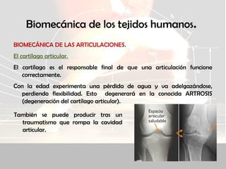 Biomecánica de los tejidos humanos.
BIOMECÁNICA DE LAS ARTICULACIONES.
El cartílago articular.
El cartílago es el responsable final de que una articulación funcione
correctamente.
Con la edad experimenta una pérdida de agua y va adelgazándose,
perdiendo flexibilidad. Esto degenerará en la conocida ARTROSIS
(degeneración del cartílago articular).
También se puede producir tras un
traumatismo que rompa la cavidad
articular.
 