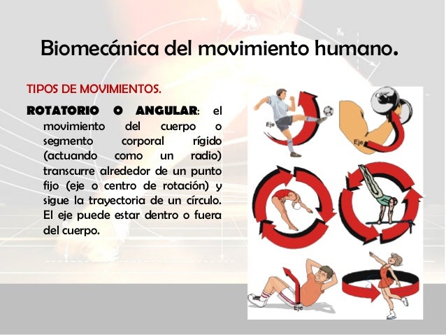 Biomecánica (parte 2)
