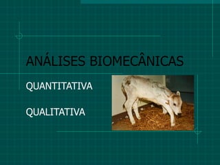 ANÁLISES BIOMECÂNICAS QUANTITATIVA QUALITATIVA 