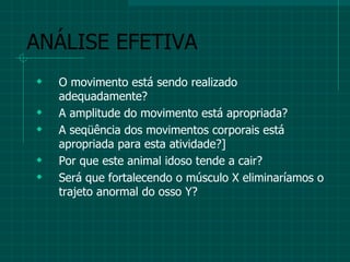 ANÁLISE EFETIVA O movimento está sendo realizado adequadamente? A amplitude do movimento está apropriada? A seqüência dos movimentos corporais está apropriada para esta atividade?] Por que este animal idoso tende a cair? Será que fortalecendo o músculo X eliminaríamos o trajeto anormal do osso Y? 