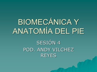 BIOMECÁNICA Y
ANATOMÍA DEL PIE
SESIÓN 4
POD. ANDY VILCHEZ
REYES
 