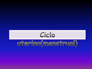 Ciclo Uterino (menstrual)