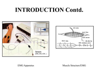 INTRODUCTION Contd.
EMG Apparatus Muscle Structure/EMG
 