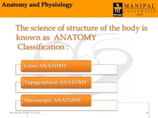 Anatomy and Physiology
The science of structure of the body is
known as ANATOMY
Classification :
Gross ANATOMY
Topographical ANATOMY
Microscopic ANATOMY
Wednesday, March 30, 2016 24
 