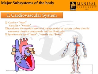 Major Subsystems of the body
1. Cardiovascular System
 Cardio = “heart”
Vascular = “vessels”
It performs the essential service of transportation of oxygen, carbon dioxide
numerous chemical compounds and the blood cells.
 System made up of “heart” , “vessels and “blood”
Wednesday, March 30, 2016 27
 