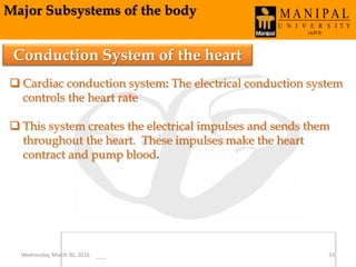 Major Subsystems of the body
Conduction System of the heart
 Cardiac conduction system: The electrical conduction system
controls the heart rate
 This system creates the electrical impulses and sends them
throughout the heart. These impulses make the heart
contract and pump blood.
Wednesday, March 30, 2016 33
 