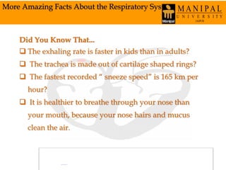 More Amazing Facts About the Respiratory System
Did You Know That...
 The exhaling rate is faster in kids than in adults?
 The trachea is made out of cartilage shaped rings?
 The fastest recorded “ sneeze speed” is 165 km per
hour?
 It is healthier to breathe through your nose than
your mouth, because your nose hairs and mucus
clean the air.
 