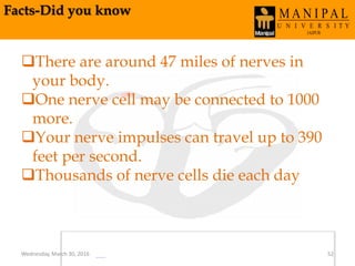 Facts-Did you know
Wednesday, March 30, 2016 52
There are around 47 miles of nerves in
your body.
One nerve cell may be connected to 1000
more.
Your nerve impulses can travel up to 390
feet per second.
Thousands of nerve cells die each day
 