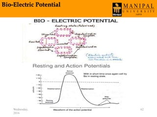 Bio-Electric Potential
Wednesday, March 30,
2016
62
 