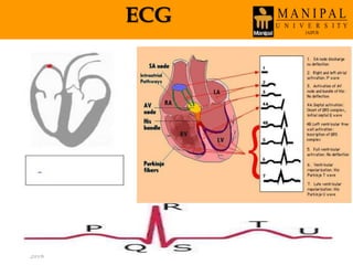 ECG
Wednesday, March 30,
2016
67
 