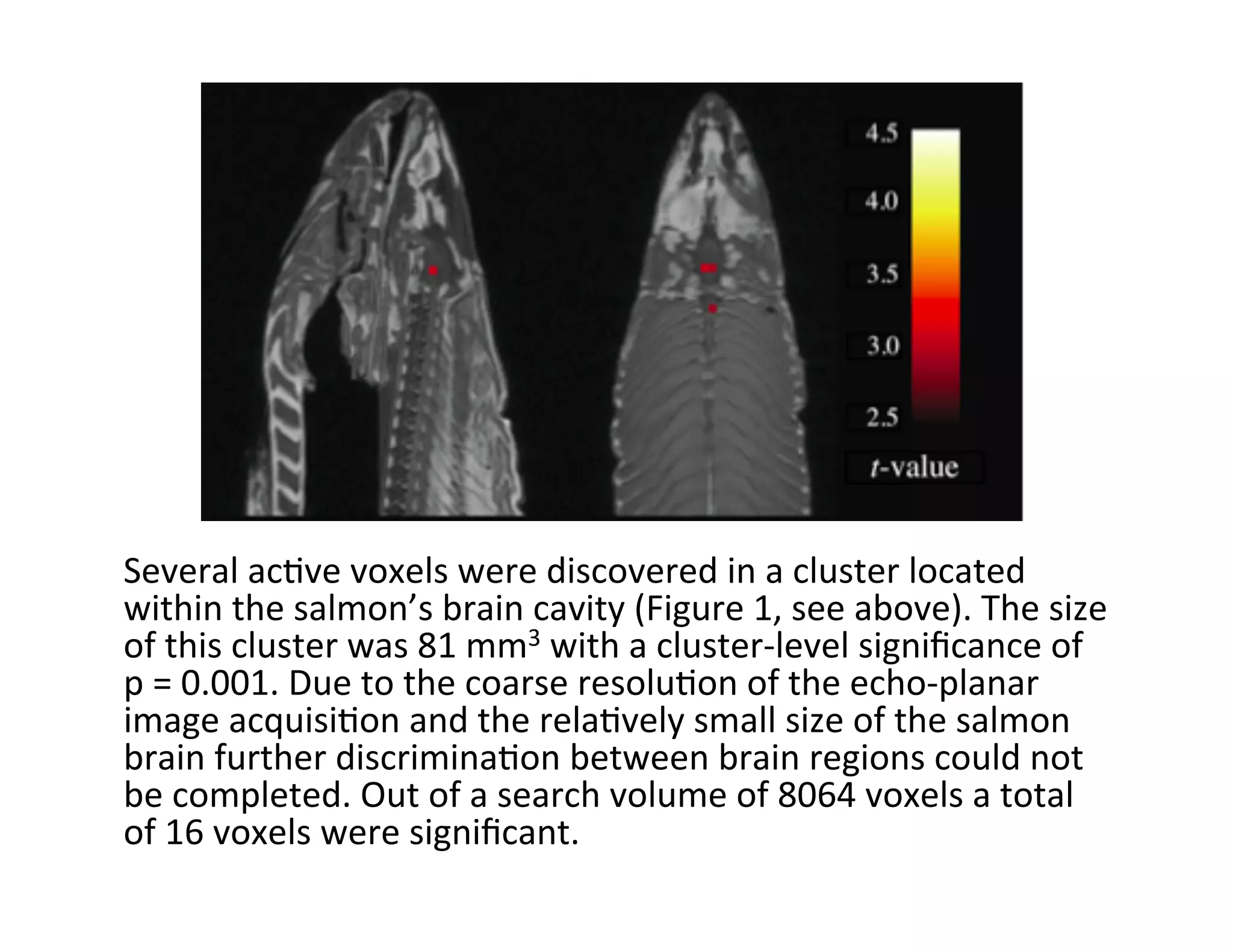 Several	
  ac?ve	
  voxels	
  were	
  discovered	
  in	
  a	
  cluster	
  located	
  
within	
  the	
  salmon’s	
  brain	
  cavity	
  (Figure	
  1,	
  see	
  above).	
  The	
  size	
  
of	
  this	
  cluster	
  was	
  81	
  mm3	
  with	
  a	
  cluster-­‐level	
  signiﬁcance	
  of	
  
p	
  =	
  0.001.	
  Due	
  to	
  the	
  coarse	
  resolu?on	
  of	
  the	
  echo-­‐planar	
  
image	
  acquisi?on	
  and	
  the	
  rela?vely	
  small	
  size	
  of	
  the	
  salmon	
  
brain	
  further	
  discrimina?on	
  between	
  brain	
  regions	
  could	
  not	
  
be	
  completed.	
  Out	
  of	
  a	
  search	
  volume	
  of	
  8064	
  voxels	
  a	
  total	
  
of	
  16	
  voxels	
  were	
  signiﬁcant.	
  	
  
	
  
 