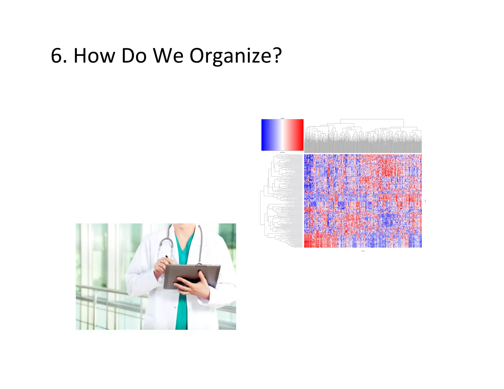 6.	
  How	
  Do	
  We	
  Organize?	
  
 