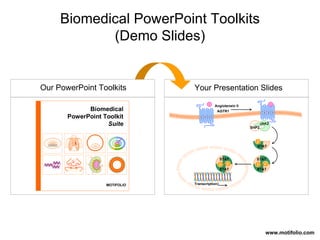 Our PowerPoint Toolkits Your Presentation Slides www.motifolio.com STAT STAT STAT STAT STAT JAK2 SHP2 Transcription AGTR1 Angiotensin II Biomedical PowerPoint Toolkits (Demo Slides) 