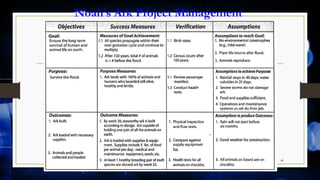 Noah’s Ark Project Management
[Source: Schmidt 2009]
40
 