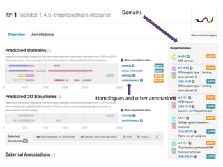 Domains
Homologues and other annotations
 