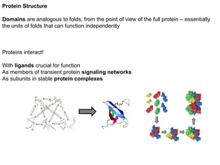 Protein Structure
Domains are analogous to folds, from the point of view of the full protein – essentially
the units of folds that can function independently
Proteins interact!
With ligands crucial for function
As members of transient protein signaling networks
As subunits in stable protein complexes
 