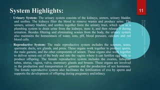 System Highlights:
Urinary System: The urinary system consists of the kidneys, ureters, urinary bladder,
and urethra. The ...