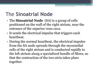 Biomedical physics (10) + (11) | PPTX