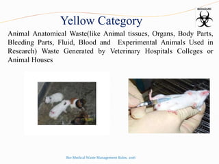 Yellow Category
Animal Anatomical Waste(like Animal tissues, Organs, Body Parts,
Bleeding Parts, Fluid, Blood and Experimental Animals Used in
Research) Waste Generated by Veterinary Hospitals Colleges or
Animal Houses
Bio-Medical Waste Management Rules, 2016
 
