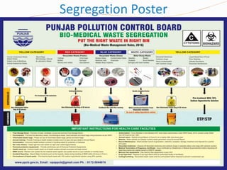 Segregation Poster
 