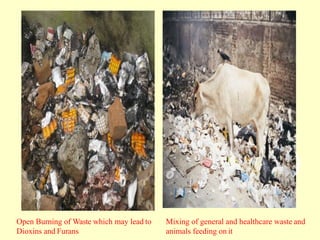 Open Burning of Waste which may lead to Mixing of general and healthcare waste and
Dioxins and Furans animals feeding on it
 