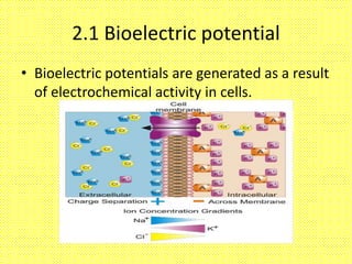 Biomedical system | PPTX