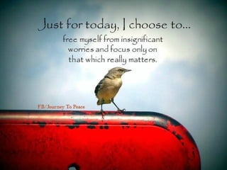 biomedicalwastemanagement-140819014455-phpapp02.pdf