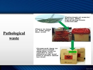 Pathological
waste
 