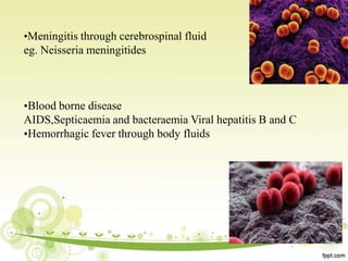 •Meningitis through cerebrospinal fluid
eg. Neisseria meningitides
•Blood borne disease
AIDS,Septicaemia and bacteraemia Viral hepatitis B and C
•Hemorrhagic fever through body fluids
 
