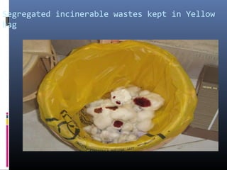 Segregated incinerable wastes kept in Yellow
bag
 