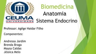 Biomedicina
Sistema Endocrino
Componentes:
Andressa Jardim
Brenda Braga
Maysa Caldas
Jéssica Melo
Anatomia
Professor: Agêge Haidar Filho
 
