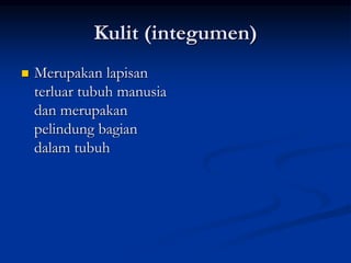 Kulit (integumen)
 Merupakan lapisan
terluar tubuh manusia
dan merupakan
pelindung bagian
dalam tubuh
 