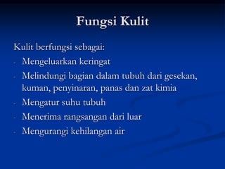 Fungsi Kulit
Kulit berfungsi sebagai:
- Mengeluarkan keringat
- Melindungi bagian dalam tubuh dari gesekan,
kuman, penyinaran, panas dan zat kimia
- Mengatur suhu tubuh
- Menerima rangsangan dari luar
- Mengurangi kehilangan air
 