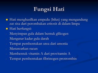 Fungsi Hati
 Hati menghasilkan empedu (bilus) yang mengandung
zat sisa dari perombakan eritosit di dalam limpa
 Hati berfungsi:
- Menyimpan gula dalam bentuk glikogen
- Mengatur kadar gula darah
- Tempat pembentukan urea dari amonia
- Menawarkan racun
- Membentuk vitamin A dari provitamin A
- Tempat pembentukan fibrinogen protrombin
 
