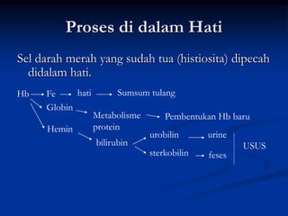 Proses di dalam Hati
Sel darah merah yang sudah tua (histiosita) dipecah
didalam hati.
Hb Fe
Globin
Hemin
hati Sumsum tulang
Metabolisme
protein
Pembentukan Hb baru
bilirubin
urobilin
sterkobilin
urine
feses
USUS
 