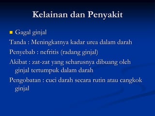 Kelainan dan Penyakit
 Gagal ginjal
Tanda : Meningkatnya kadar urea dalam darah
Penyebab : nefritis (radang ginjal)
Akibat : zat-zat yang seharusnya dibuang oleh
ginjal tertumpuk dalam darah
Pengobatan : cuci darah secara rutin atau cangkok
ginjal
 