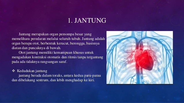 Biomedik 1 Peredaran Darah