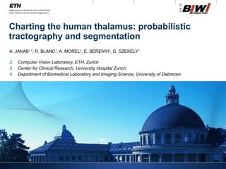 Charting the human thalamus: probabilistic tractography and segmentation ,[object Object],[object Object],[object Object],[object Object]