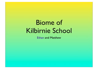 Biome of
Kilbirnie School
   Ethan and Matthew
 